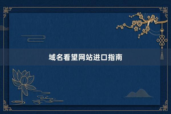 域名看望网站进口指南