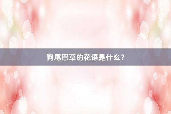 狗尾巴草的花语是什么？