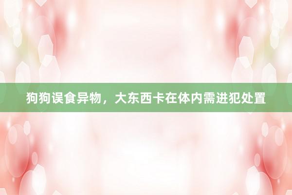 狗狗误食异物，大东西卡在体内需进犯处置