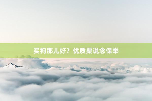 买狗那儿好？优质渠说念保举